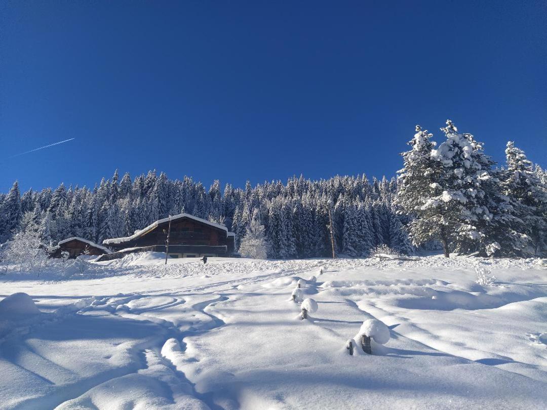 Chalet Lisa Morzine Exterior photo